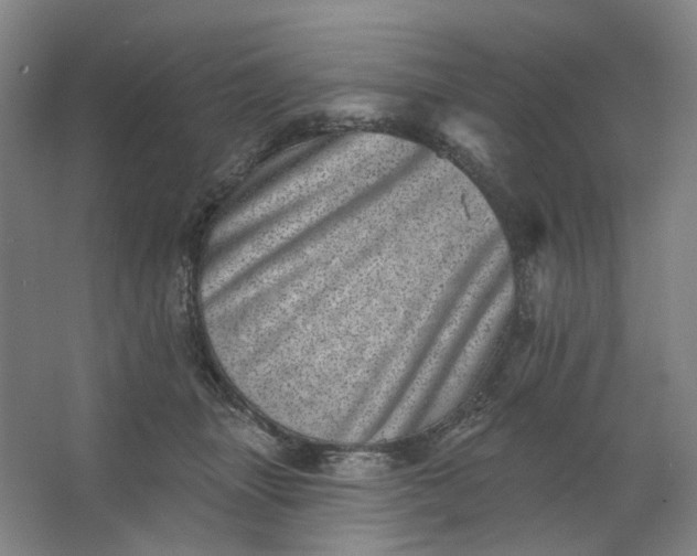 X0000062790463200601051050