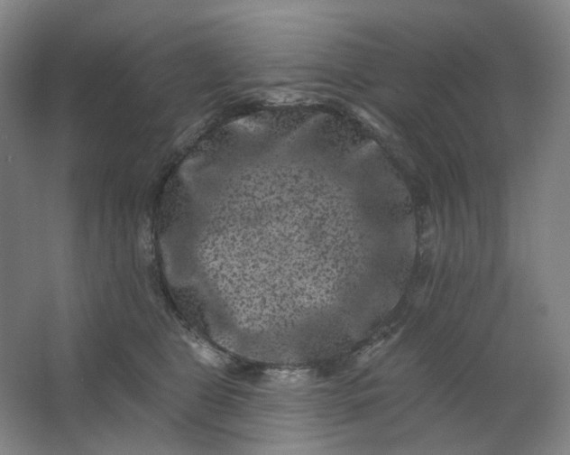 X0000062790469200601051050