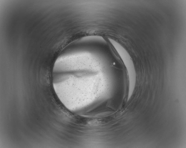 X0000062790470200601051050
