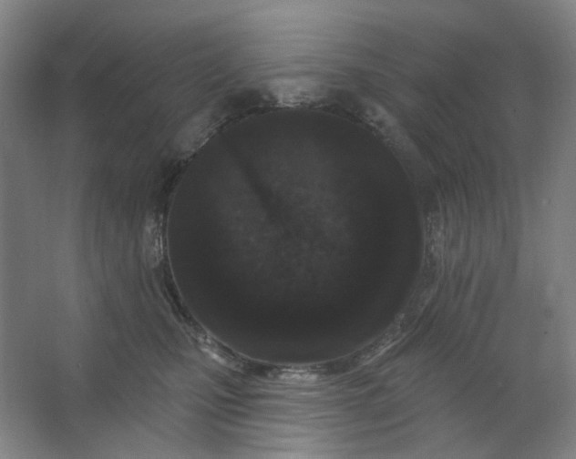 X0000062790471200601051050