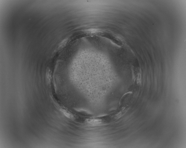 X0000062790476200601051050