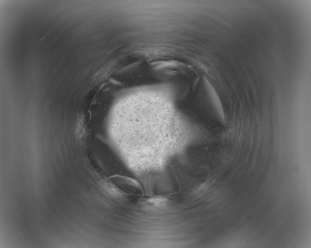 X0000062790478200601051050