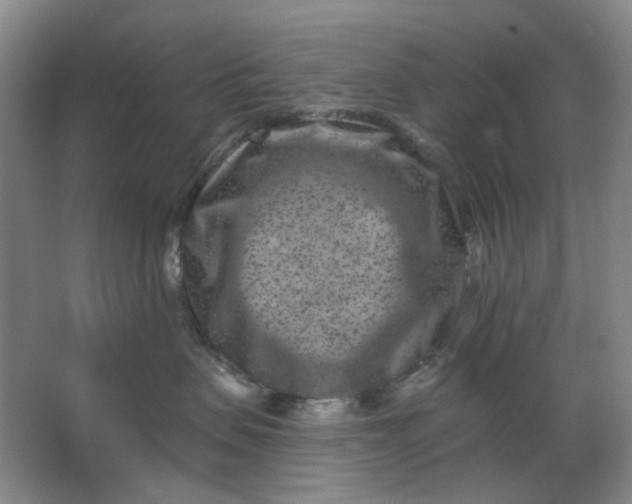 X0000062790479200601051050