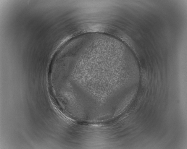 X0000062790482200601051049