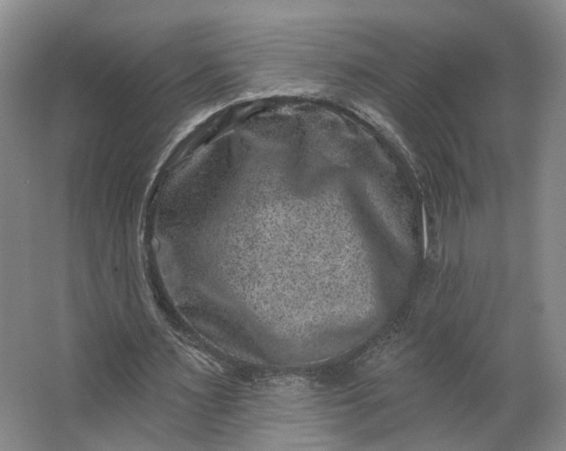 X0000062790483200601051049