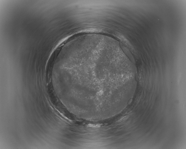 X0000062790484200601051049