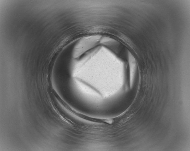 X0000062790485200601051049