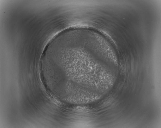 X0000062790487200601051049