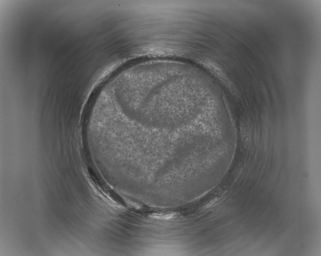 X0000062790488200601051049