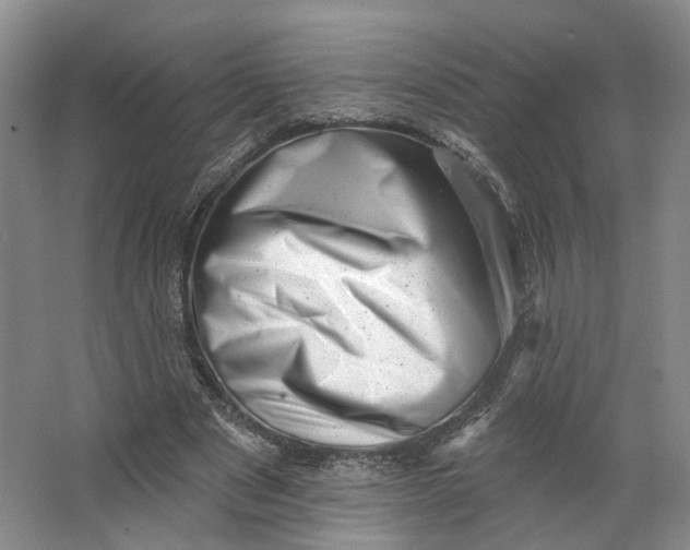 X0000062790489200601051049