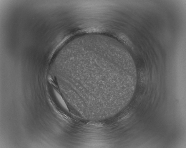 X0000062790491200601051049