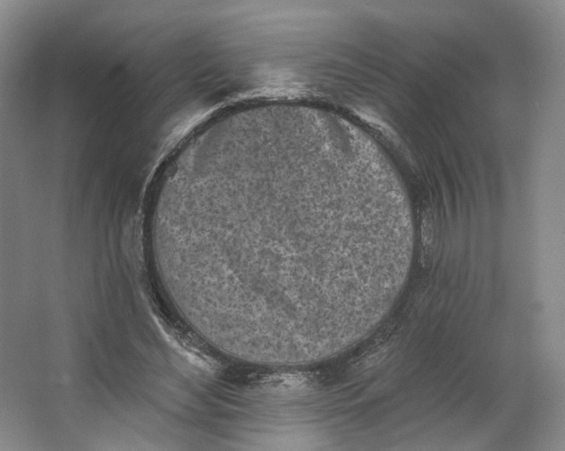 X0000062790492200601051049