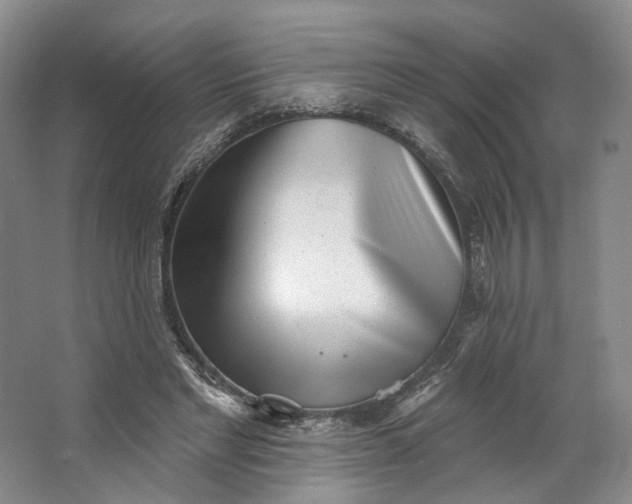 X0000062790493200601051049