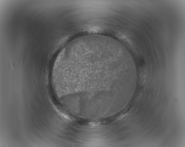 X0000062790496200601051049