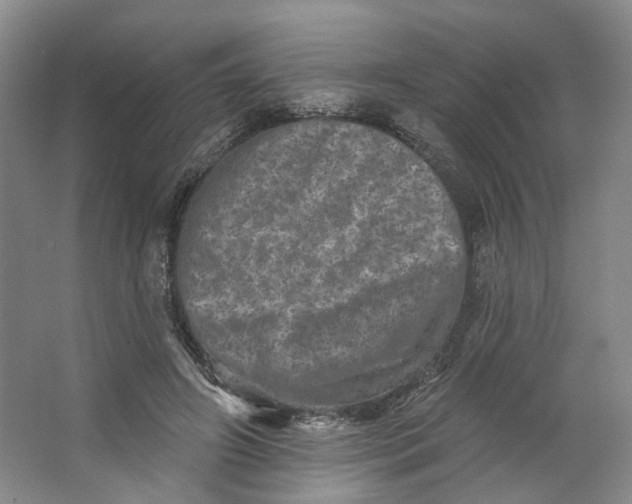 X0000062790498200601051049