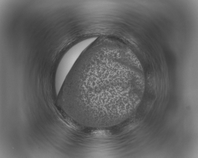 X0000062790499200601051049