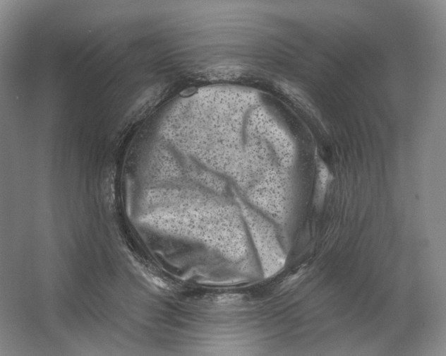 X0000062790501200601051049