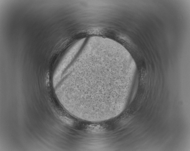 X0000062790502200601051049