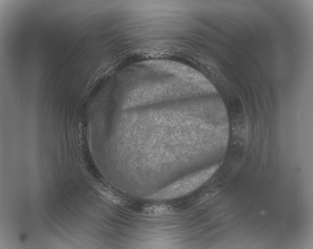 X0000062790503200601051049