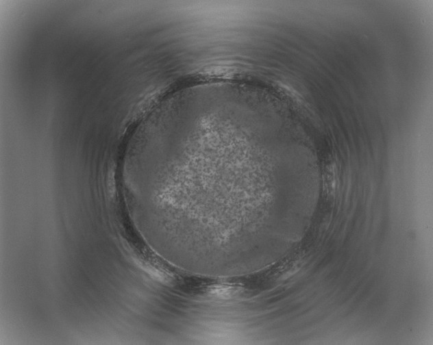 X0000062790504200601051049