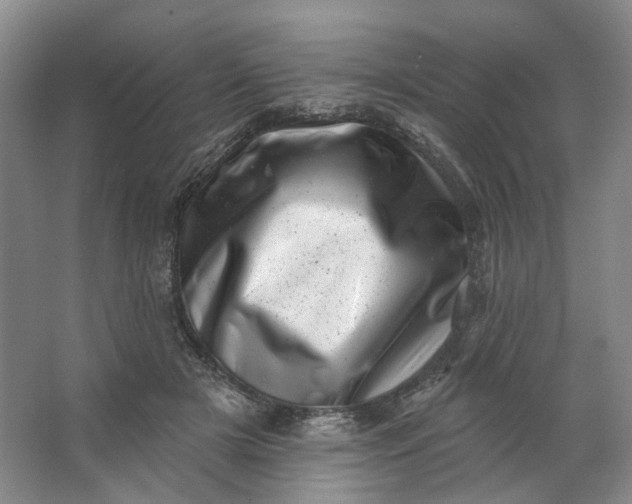 X0000062790505200601051049