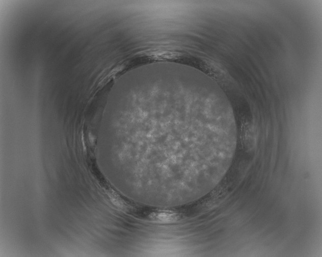 X0000062790506200601051049