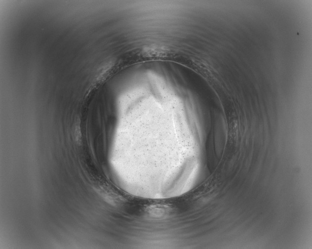 X0000062790508200601051049