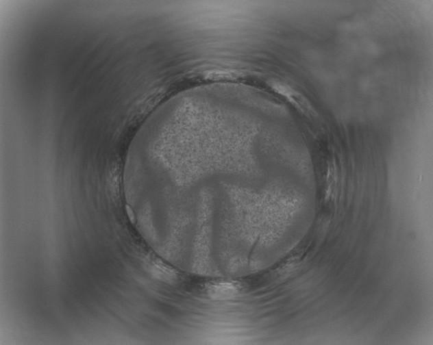 X0000062790513200601051049