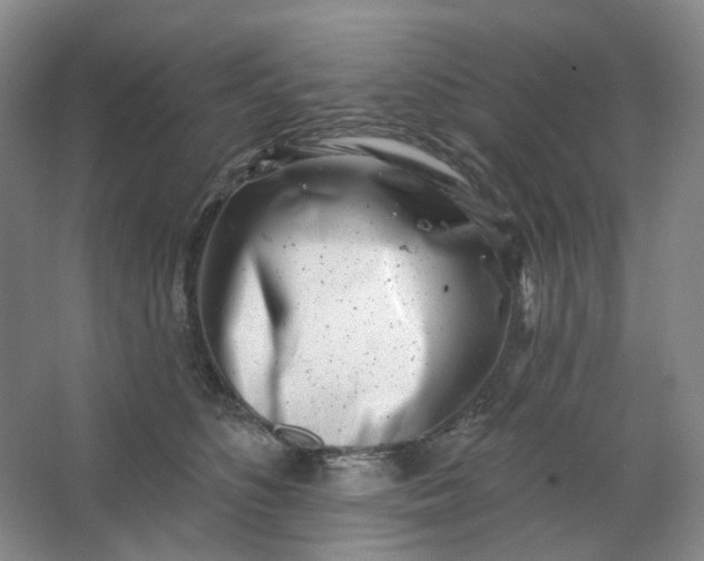 X0000062790516200601051049