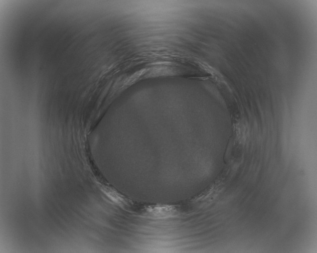 X0000062790517200601051049