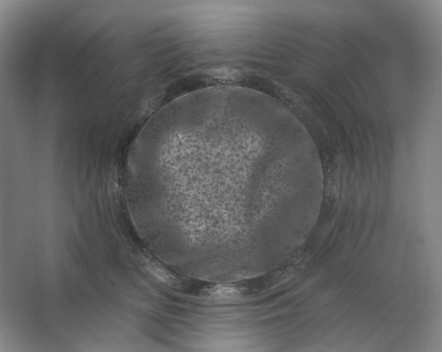 X0000062790518200601051049