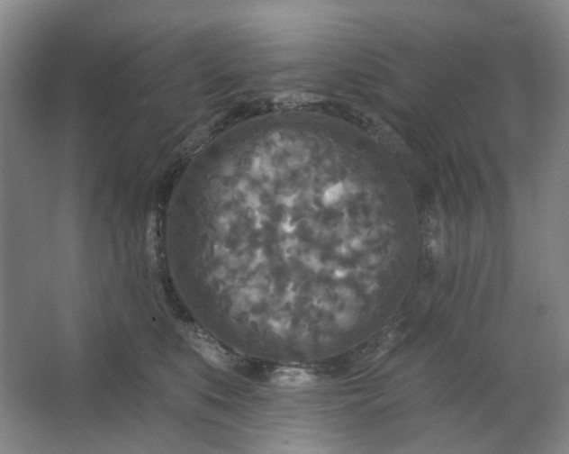 X0000062790519200601051049