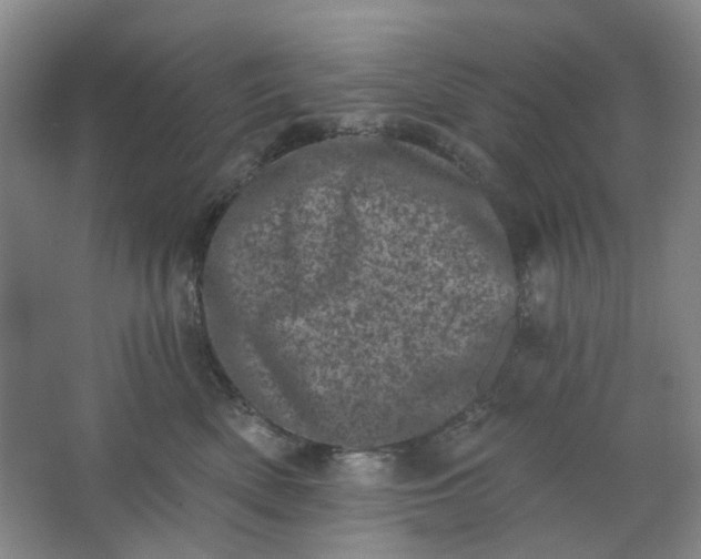 X0000062790522200601051049