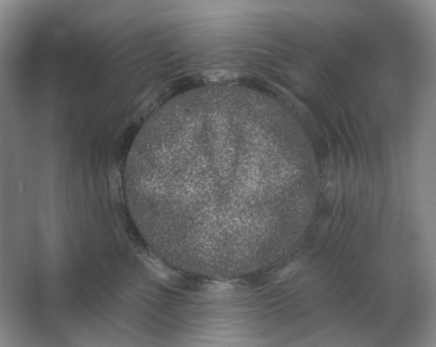 X0000062790523200601051049