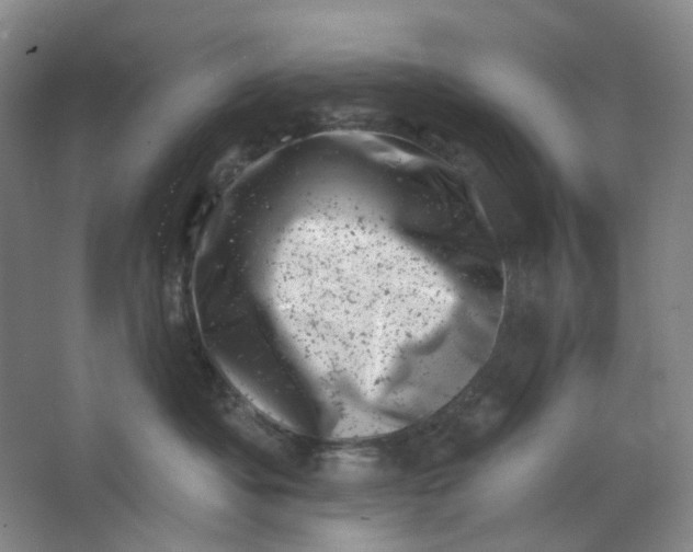 X0000062790525200601051049