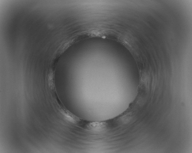 X0000062790526200601051049