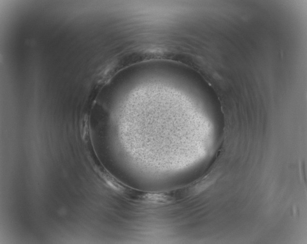 X0000062790528200601051049