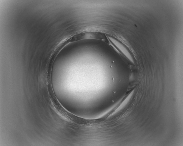 X0000062790530200601051048