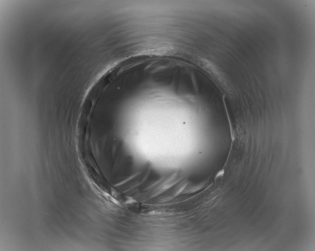 X0000062790532200601051048