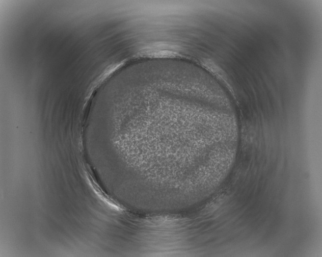 X0000062790533200601051048