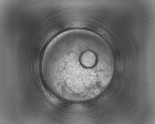 X0000062790534200601051048