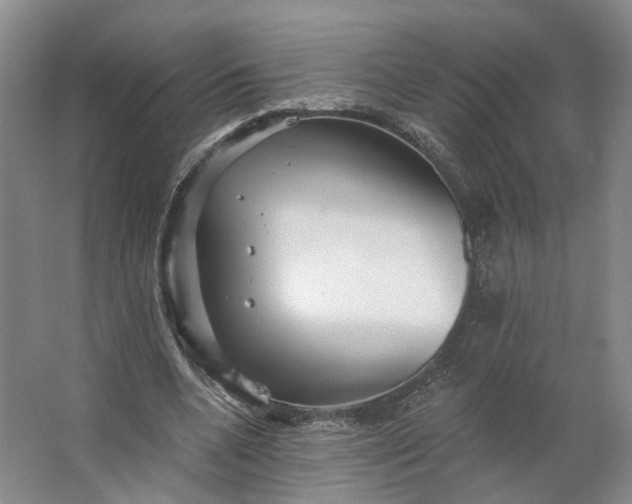 X0000062790536200601051048