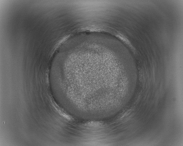 X0000062790537200601051048