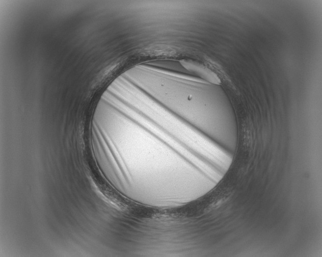 X0000062790538200601051048