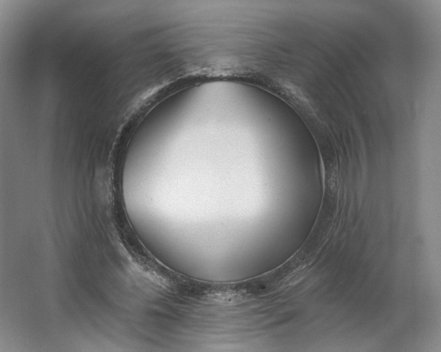 X0000062790540200601051048