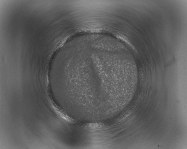 X0000062790541200601051048