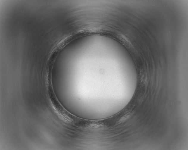 X0000062790542200601051048