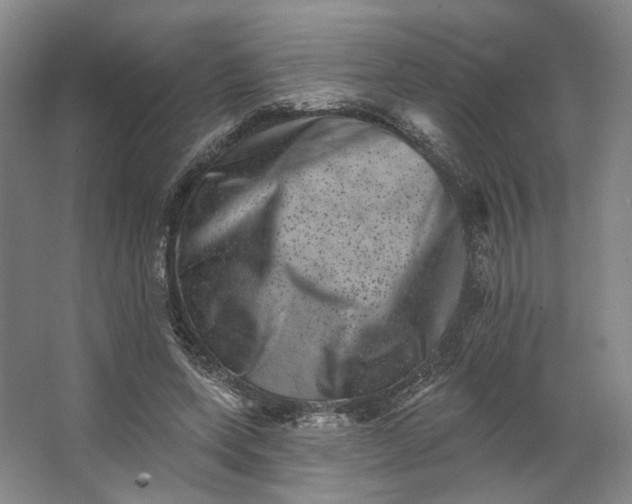 X0000062790543200601051048