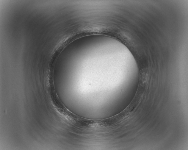 X0000062790544200601051048