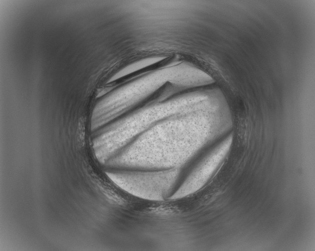 X0000062790545200601051048